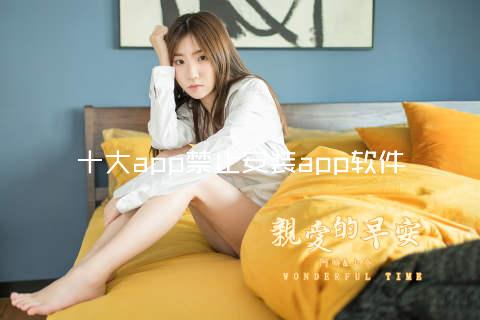 十大app禁止安装app软件